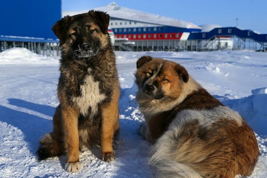 Russia's Arctic Shamrock military base on Alexandra Land of Franz Josef Land