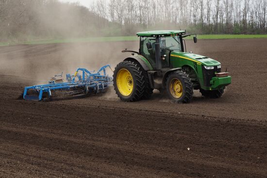 Spring sowing campaign in Krasnodar Territory