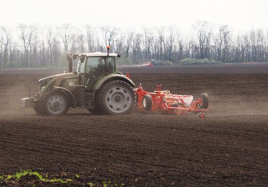 Spring sowing campaign in Krasnodar Territory