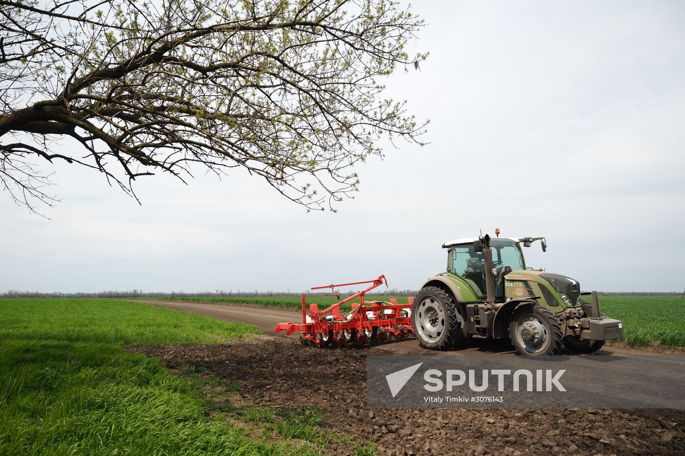 Spring sowing campaign in Krasnodar Territory