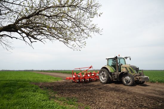 Spring sowing campaign in Krasnodar Territory