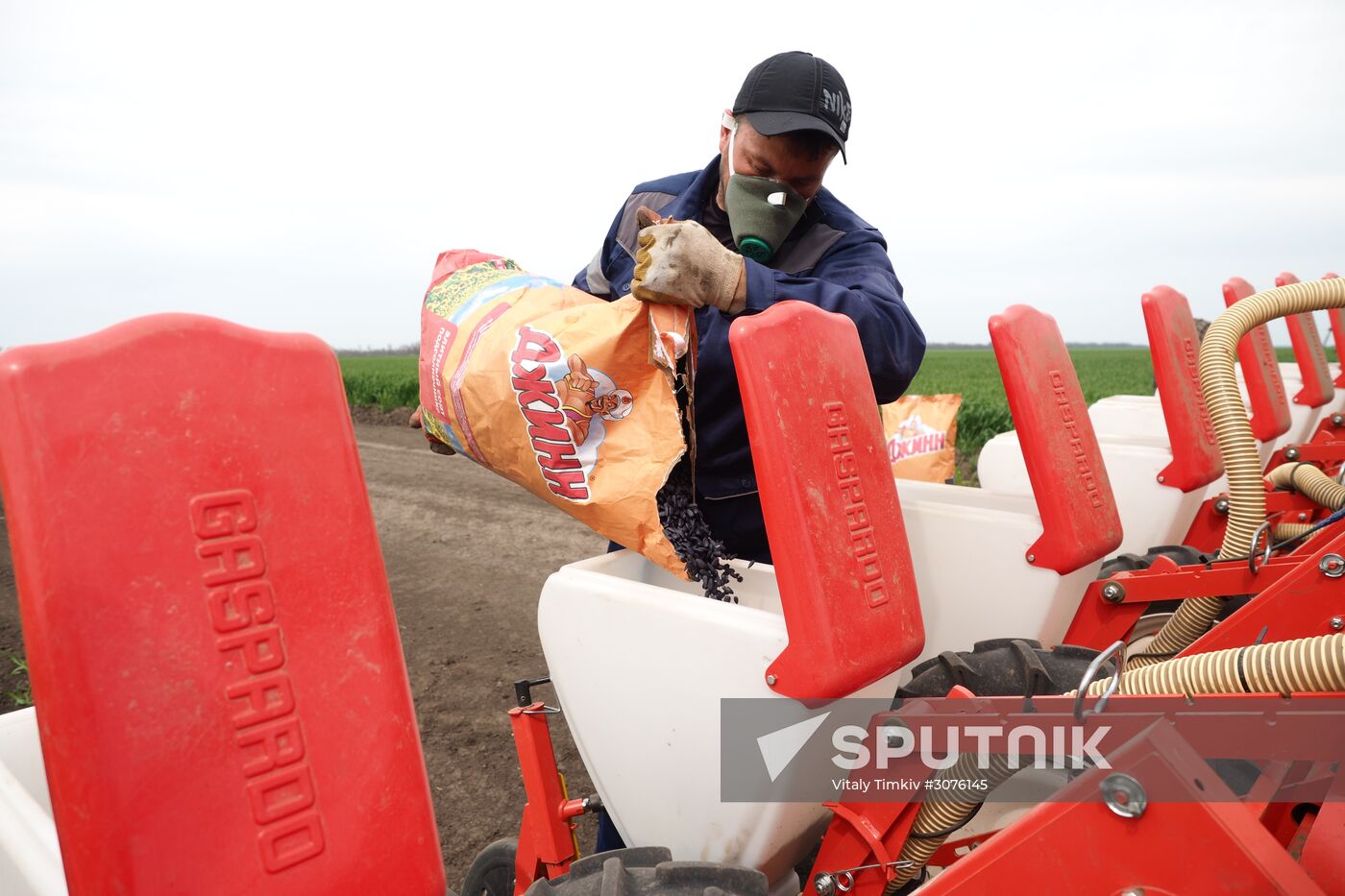 Spring sowing campaign in Krasnodar Territory