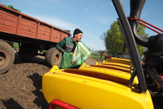 Spring sowing campaign in Krasnodar Territory
