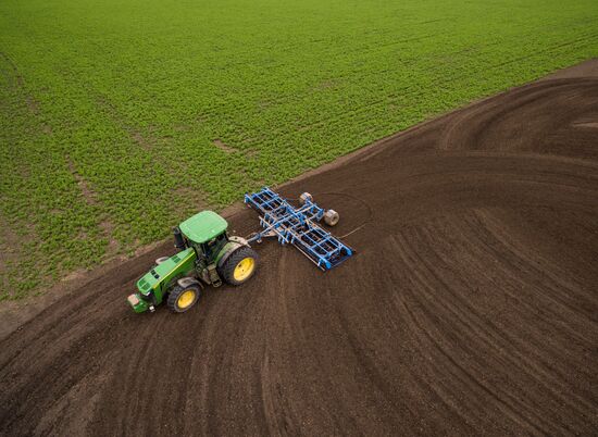 Spring sowing campaign in Krasnodar Territory