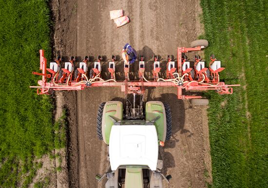 Spring sowing campaign in Krasnodar Territory