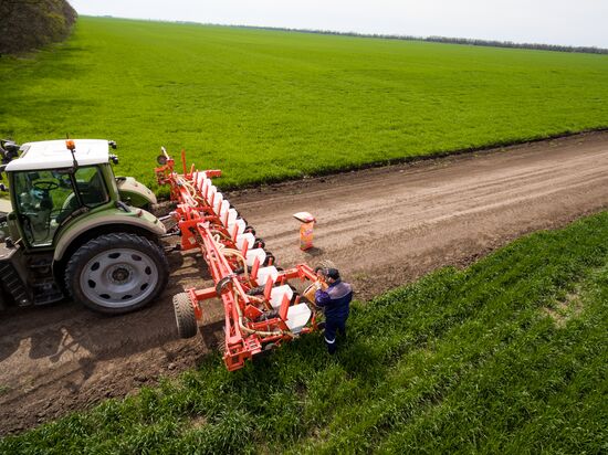 Spring sowing campaign in Krasnodar Territory
