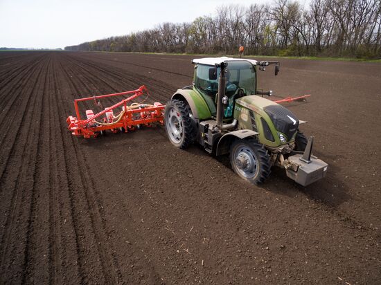 Spring sowing campaign in Krasnodar Territory