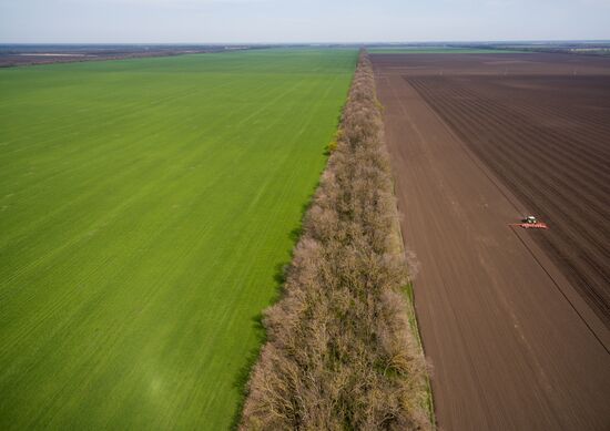 Spring sowing campaign in Krasnodar Territory