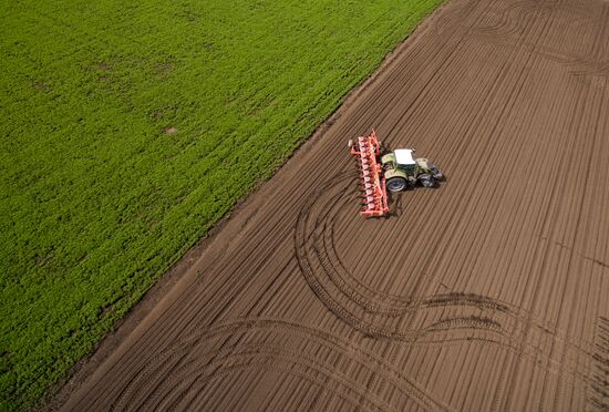 Spring sowing campaign in Krasnodar Territory