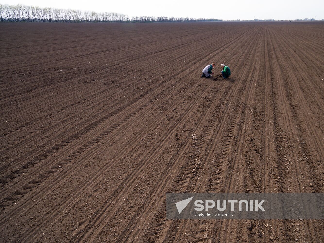 Spring sowing campaign in Krasnodar Territory