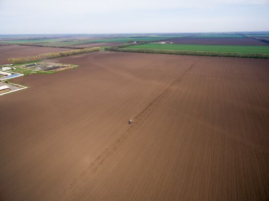 Spring sowing campaign in Krasnodar Territory