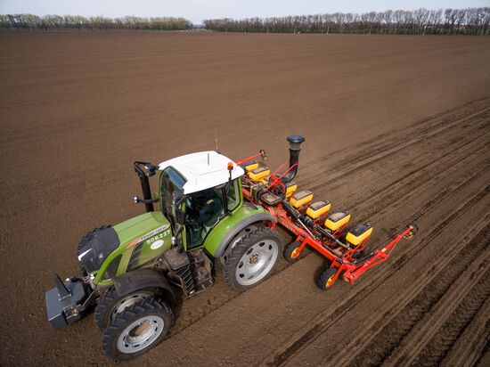 Spring sowing campaign in Krasnodar Territory