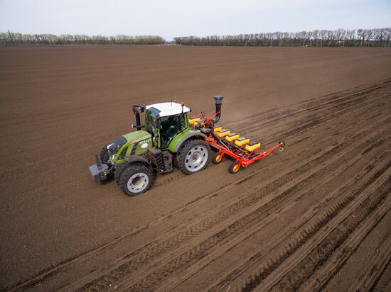 Spring sowing campaign in Krasnodar Territory