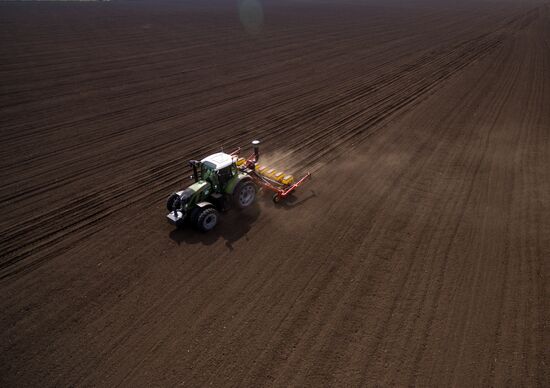 Spring sowing campaign in Krasnodar Territory