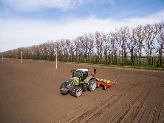Spring sowing campaign in Krasnodar Territory