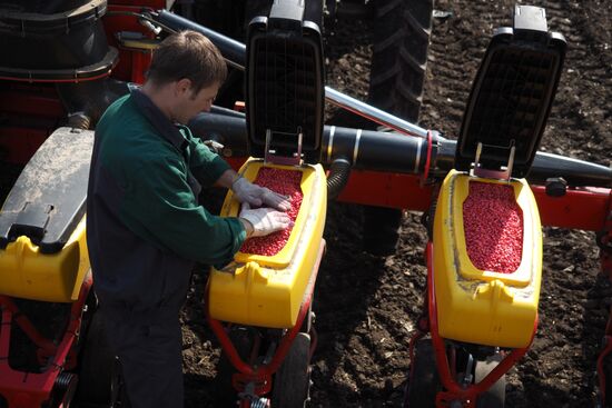 Spring sowing campaign in Krasnodar Territory