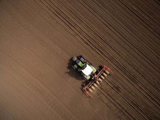 Spring sowing campaign in Krasnodar Territory