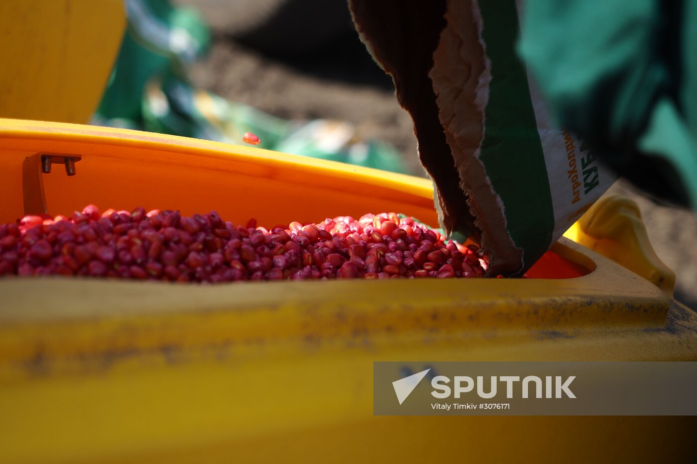 Spring sowing campaign in Krasnodar Territory