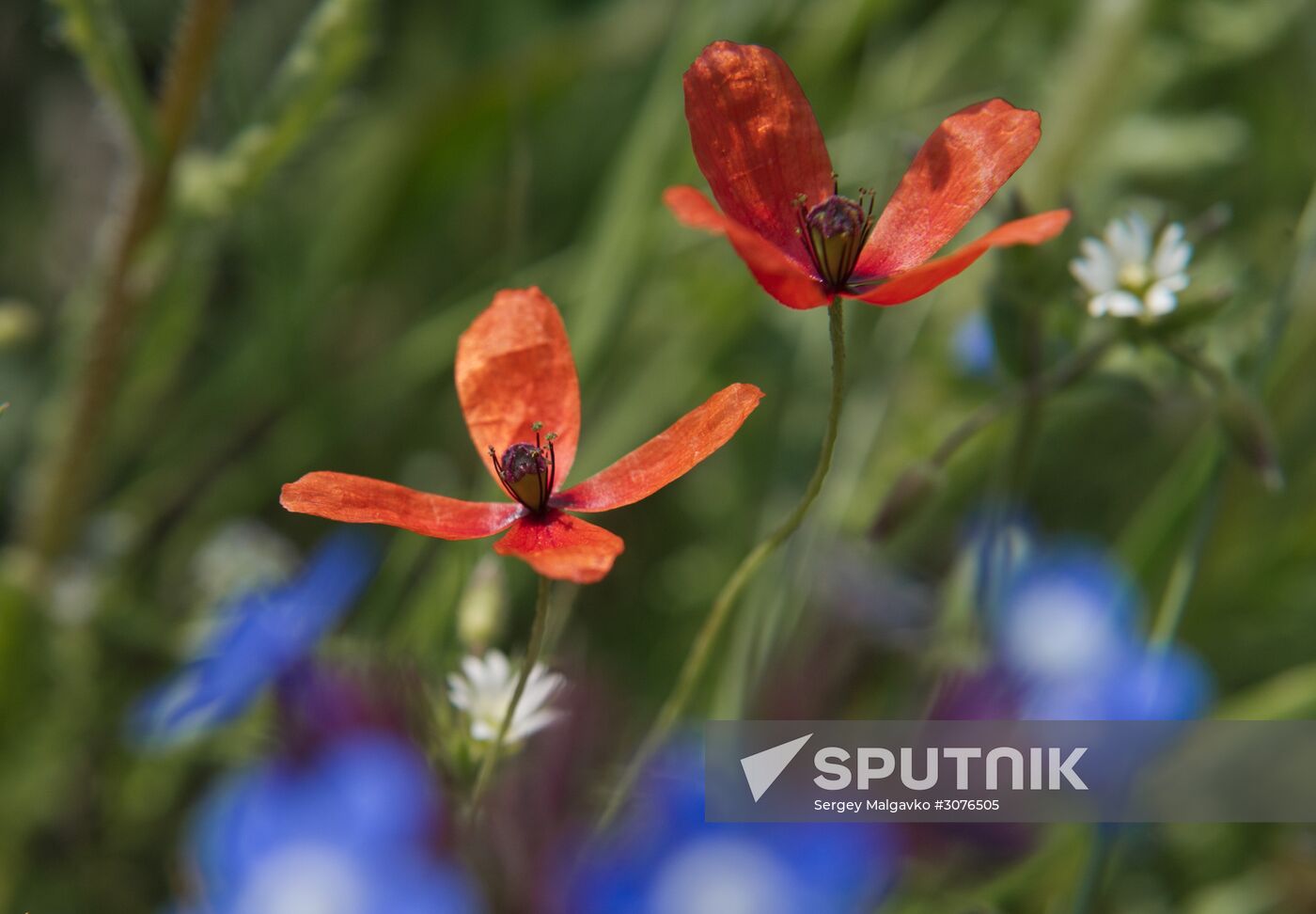 Opuksky Nature Reserve in Crimea