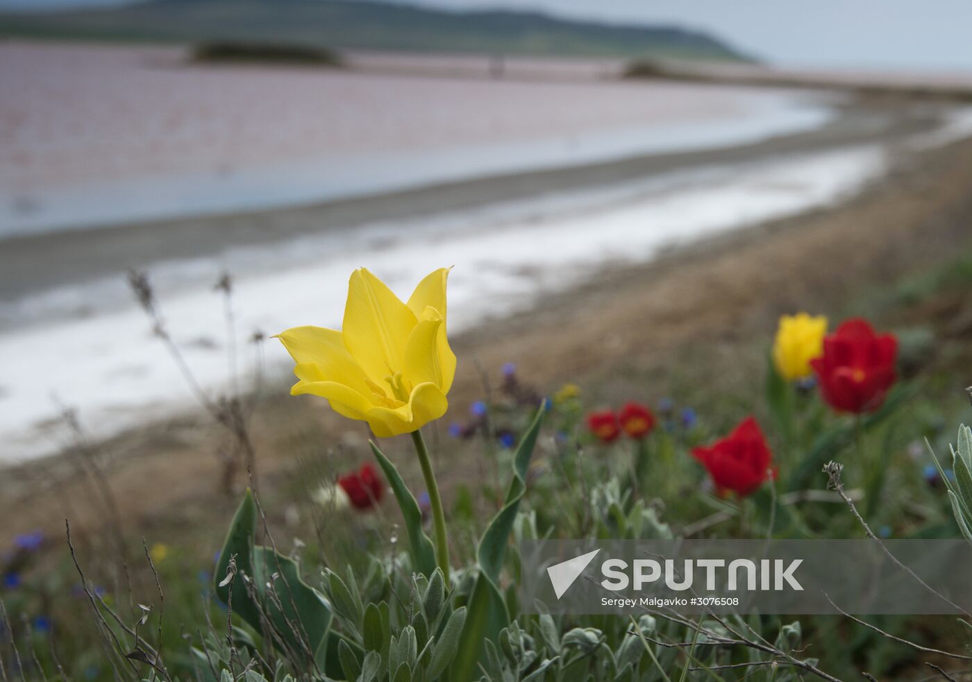 Opuksky Nature Reserve in Crimea