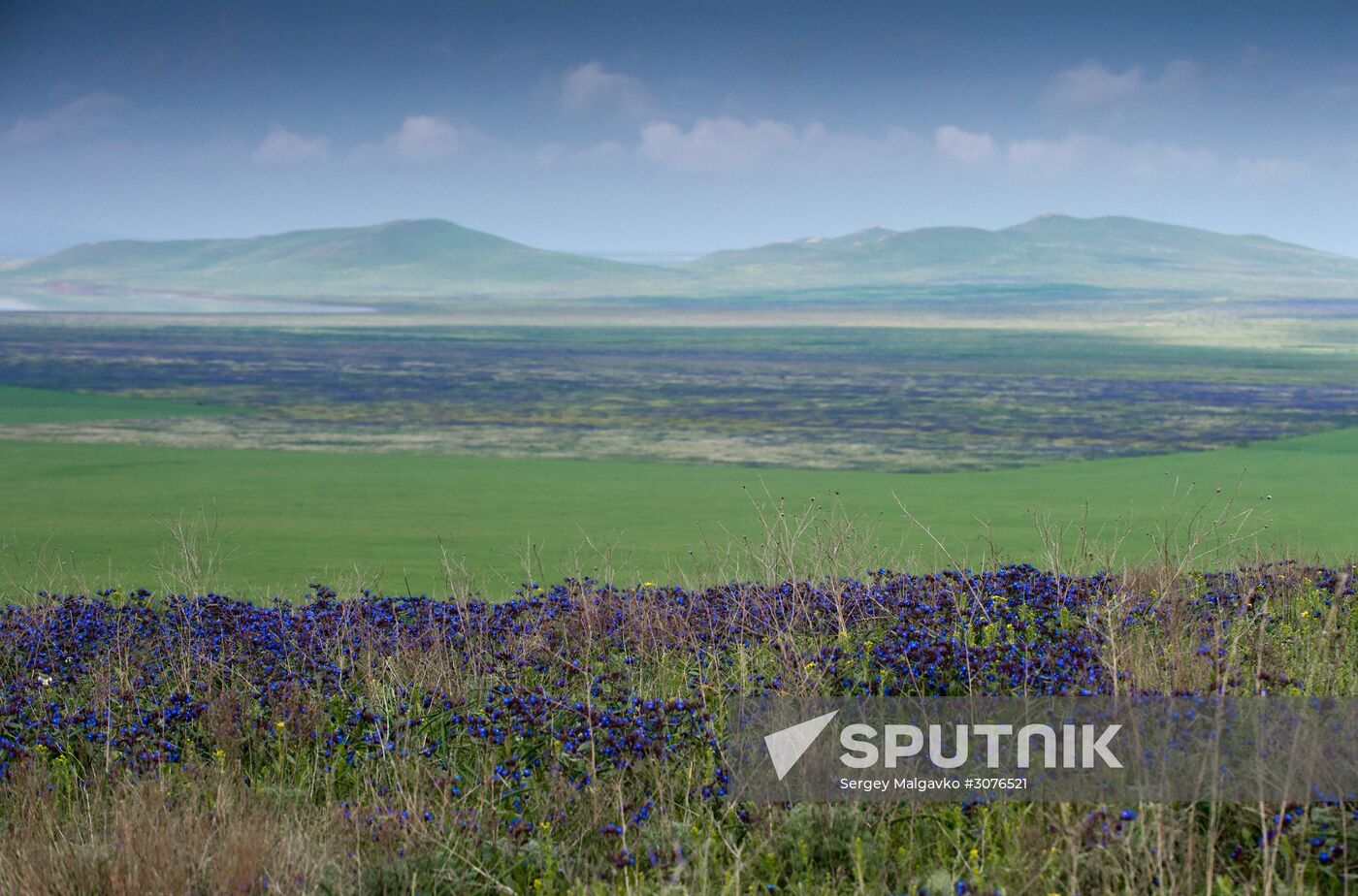 Oluksky nature reserve in Crimea