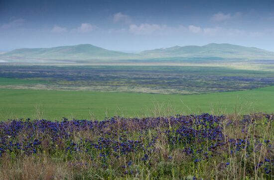 Oluksky nature reserve in Crimea