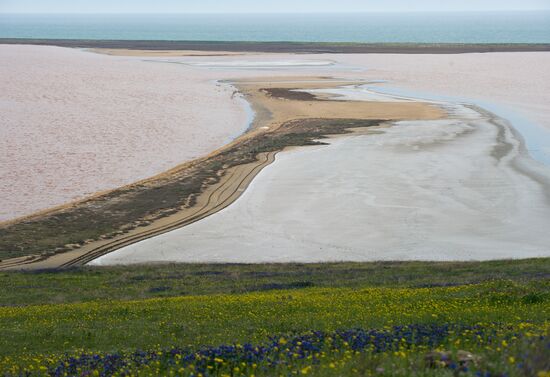 Oluksky nature reserve in Crimea