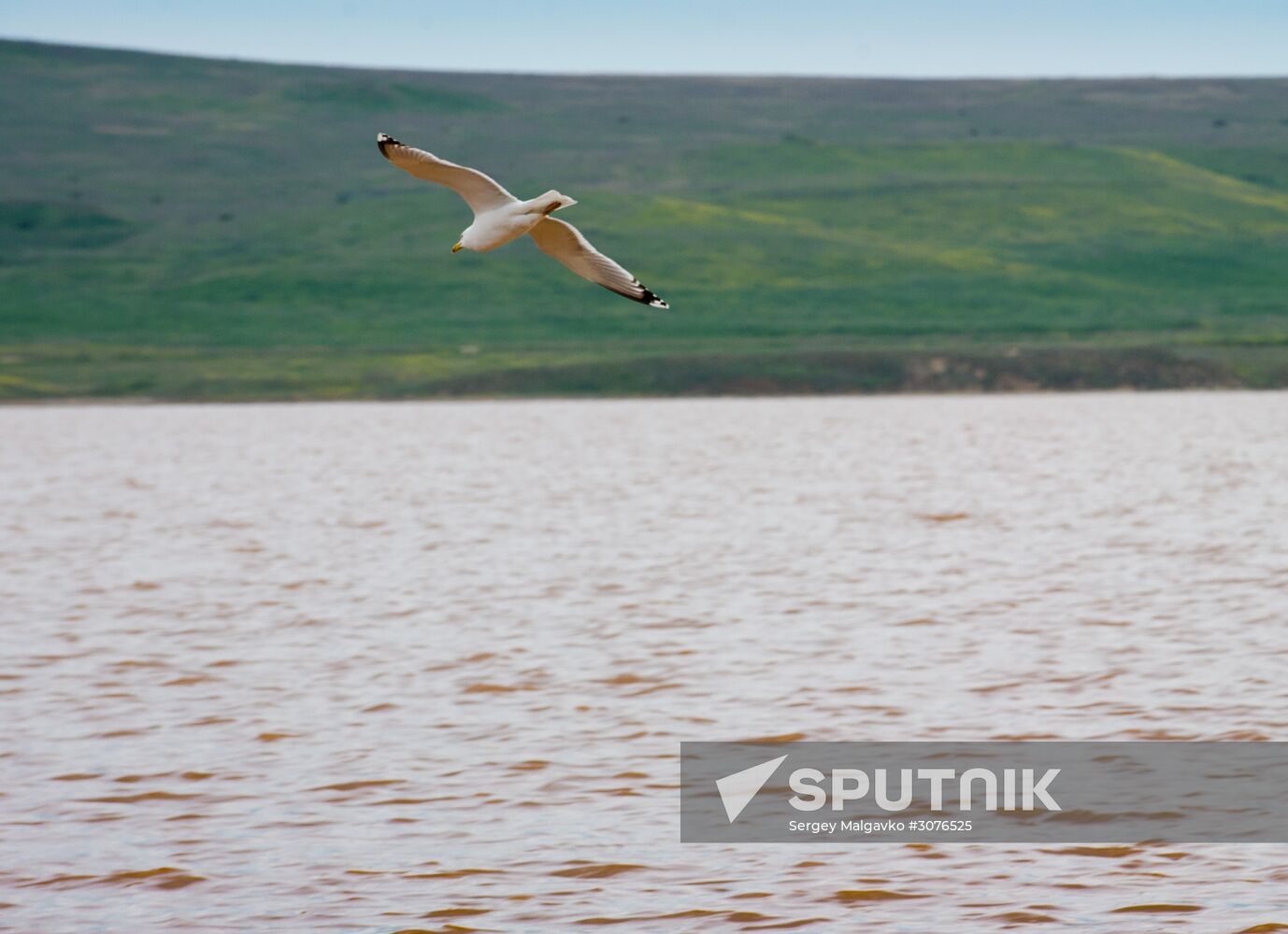 Oluksky nature reserve in Crimea