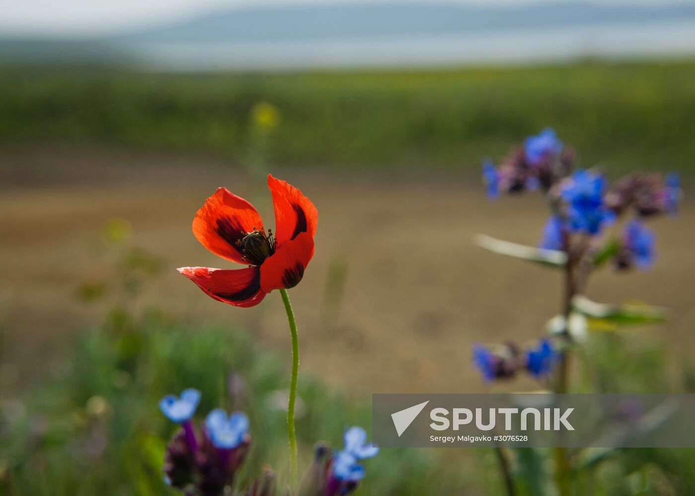 Oluksky nature reserve in Crimea