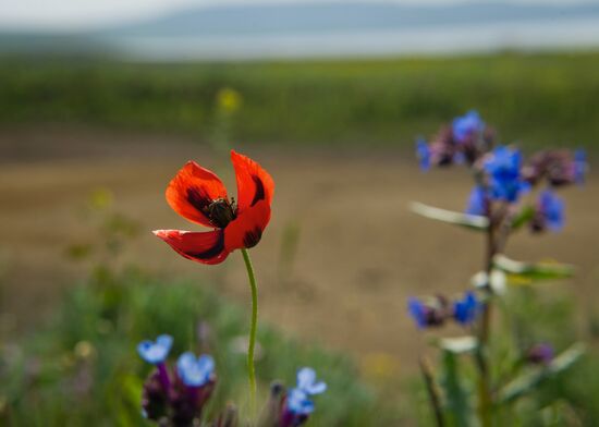 Oluksky nature reserve in Crimea