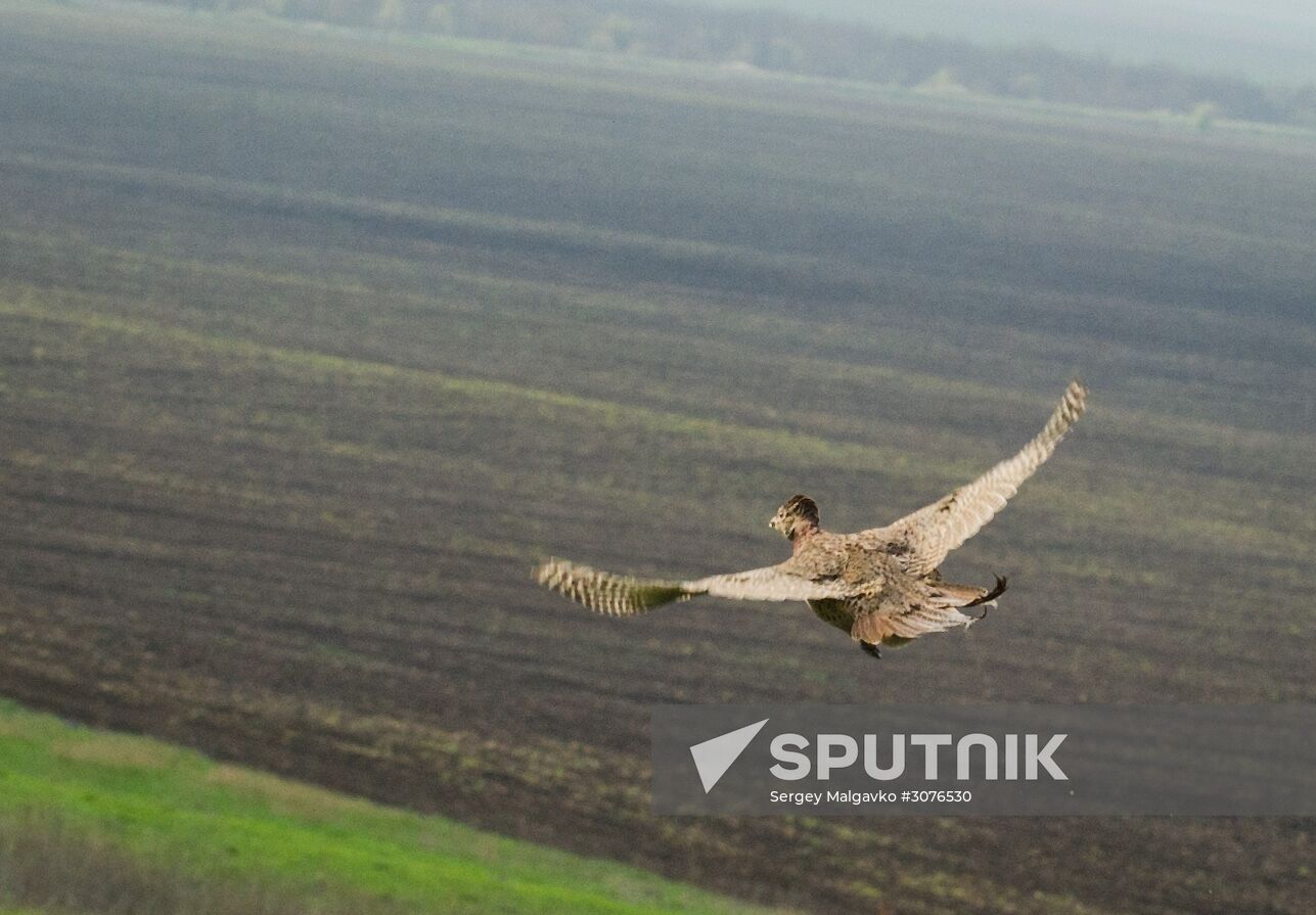 Oluksky nature reserve in Crimea