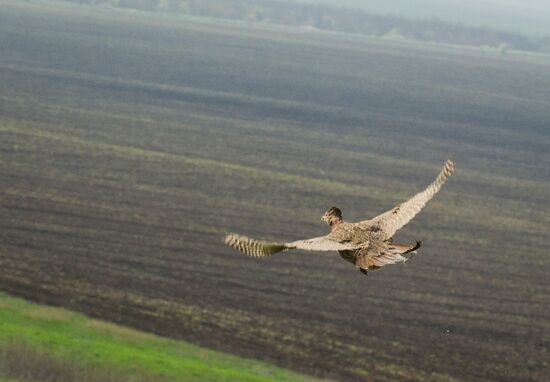 Oluksky nature reserve in Crimea