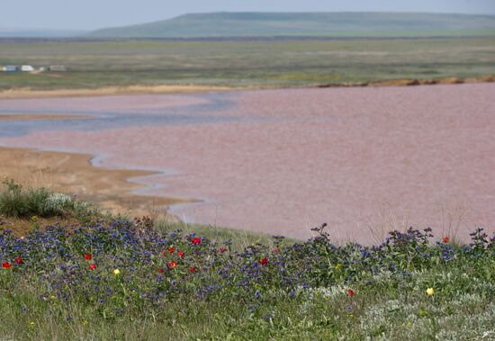 Oluksky nature reserve in Crimea