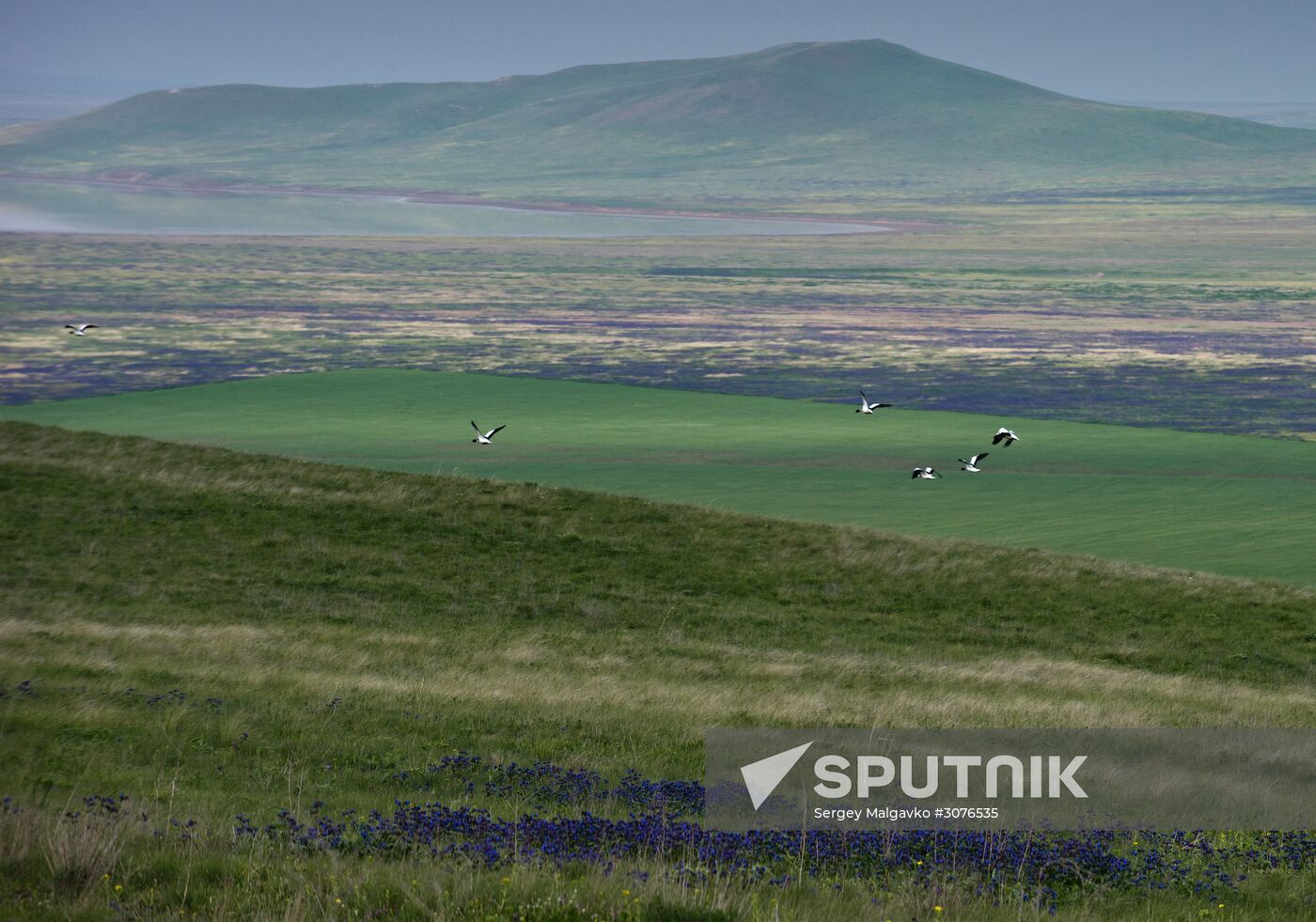 Oluksky nature reserve in Crimea