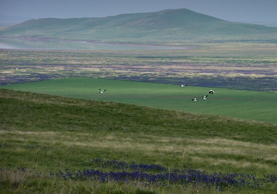 Oluksky nature reserve in Crimea