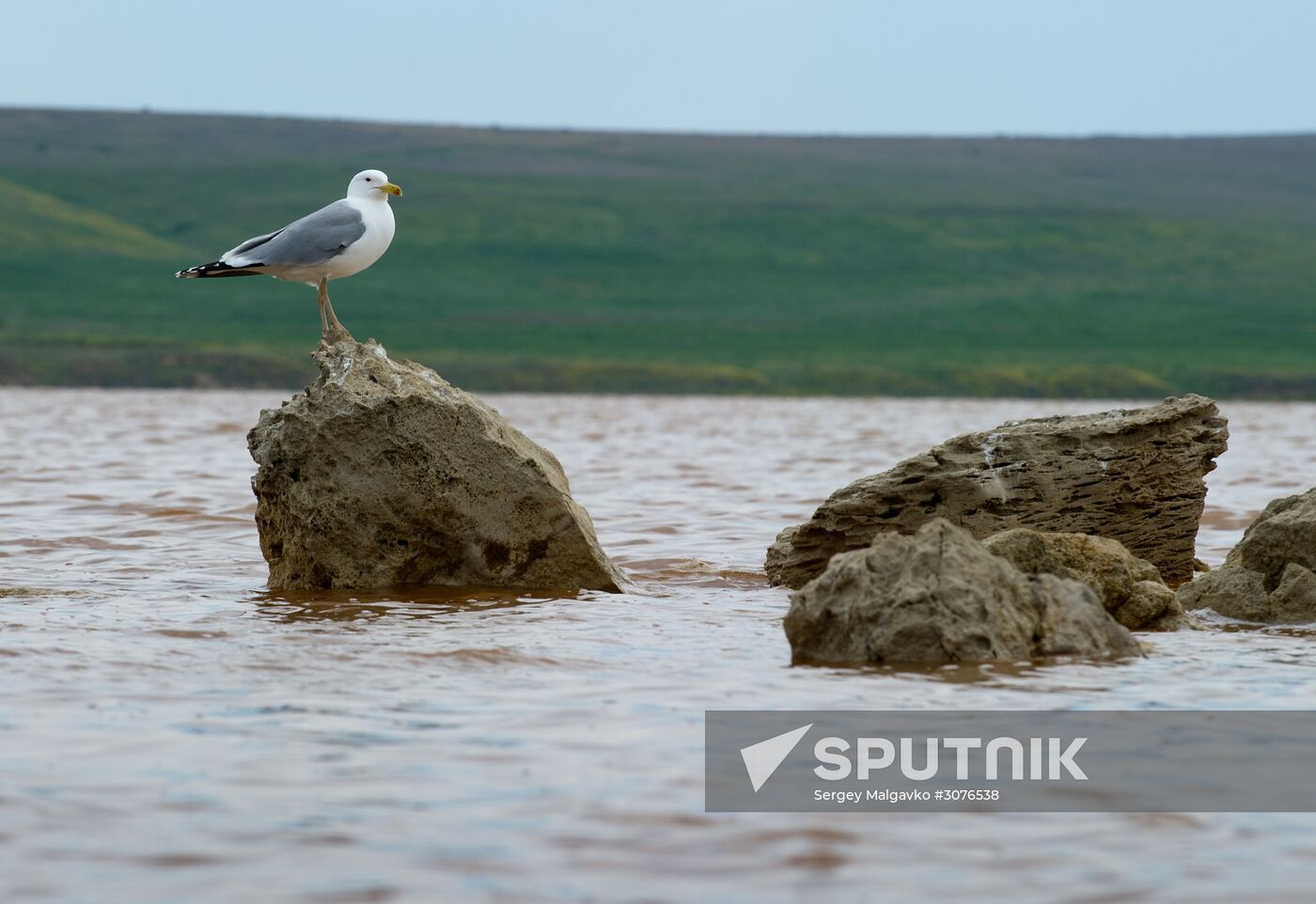 Oluksky nature reserve in Crimea