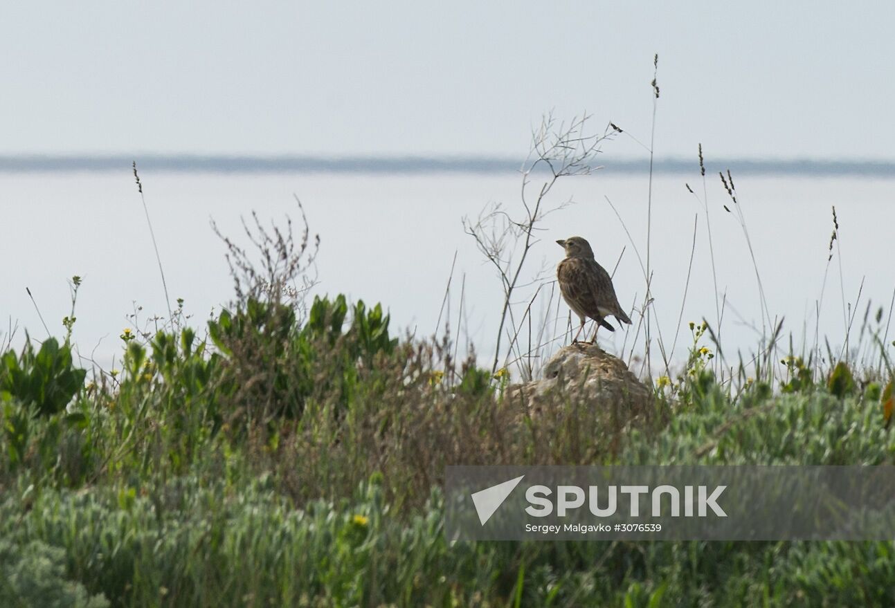 Oluksky nature reserve in Crimea