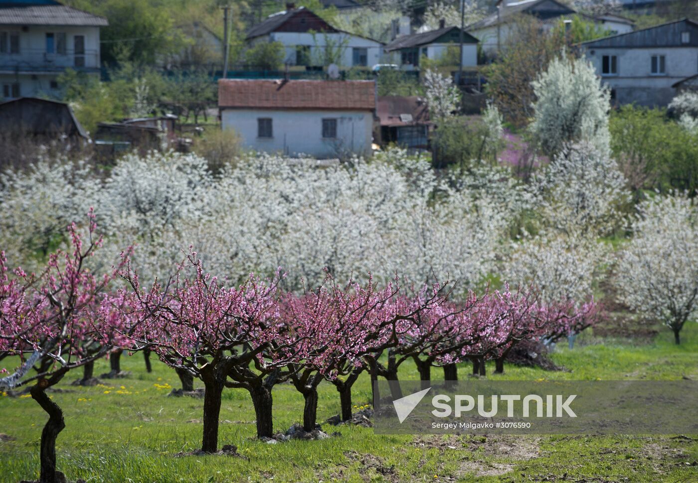 Crimea in spring