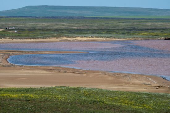 Opuksky Nature Reserve in Crimea