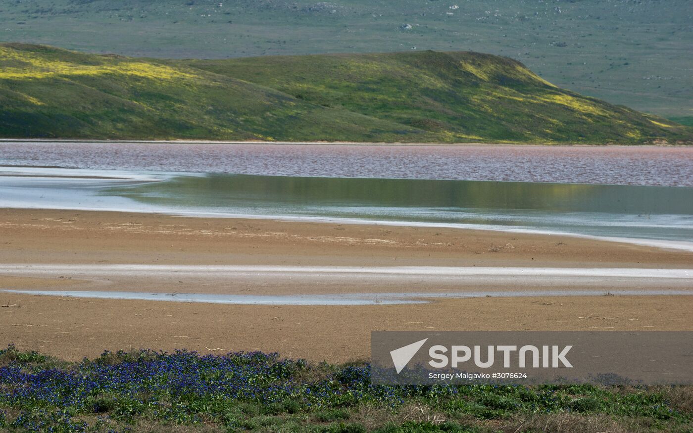 Opuksky Nature Reserve in Crimea