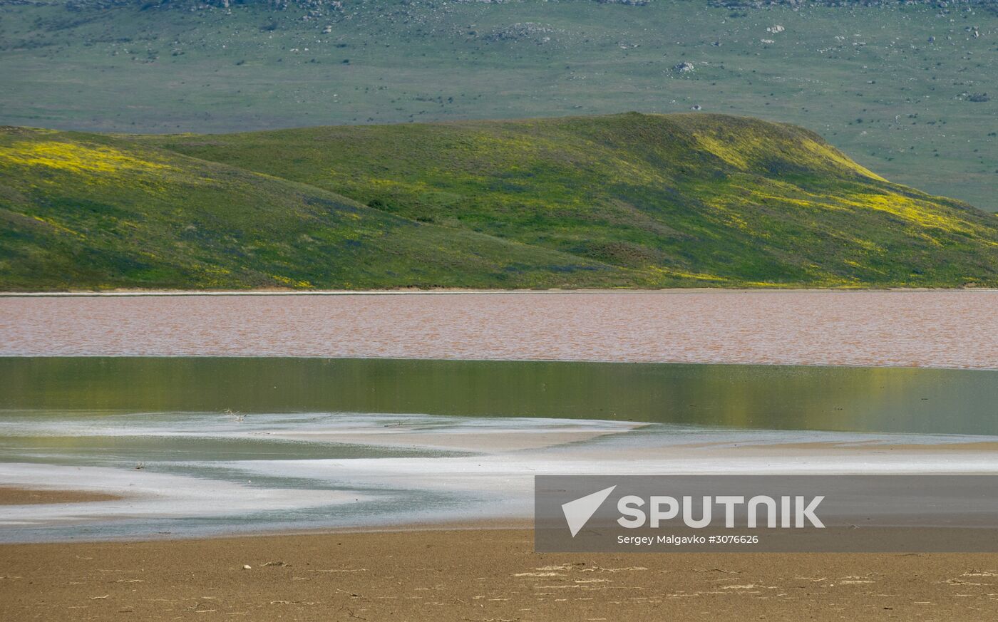 Opuksky Nature Reserve in Crimea