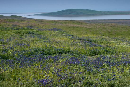 Opuksky Nature Reserve in Crimea