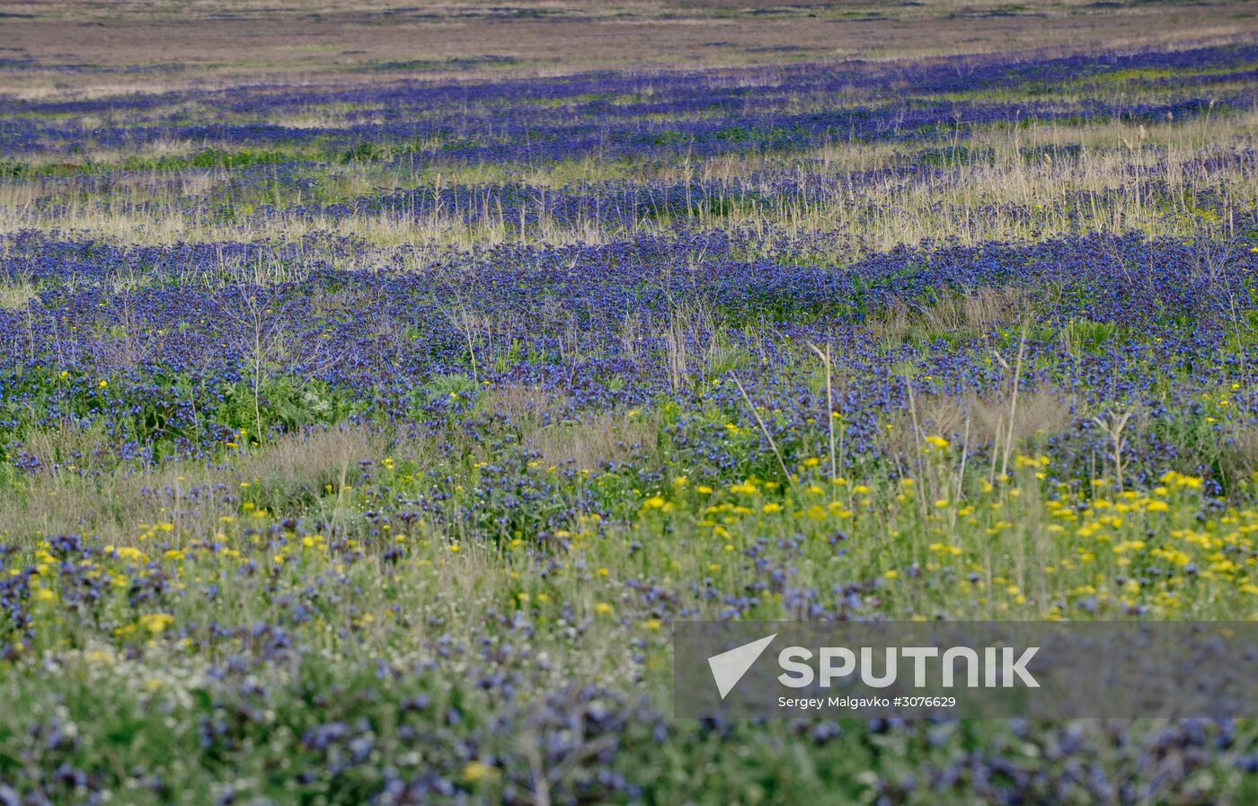 Opuksky Nature Reserve in Crimea