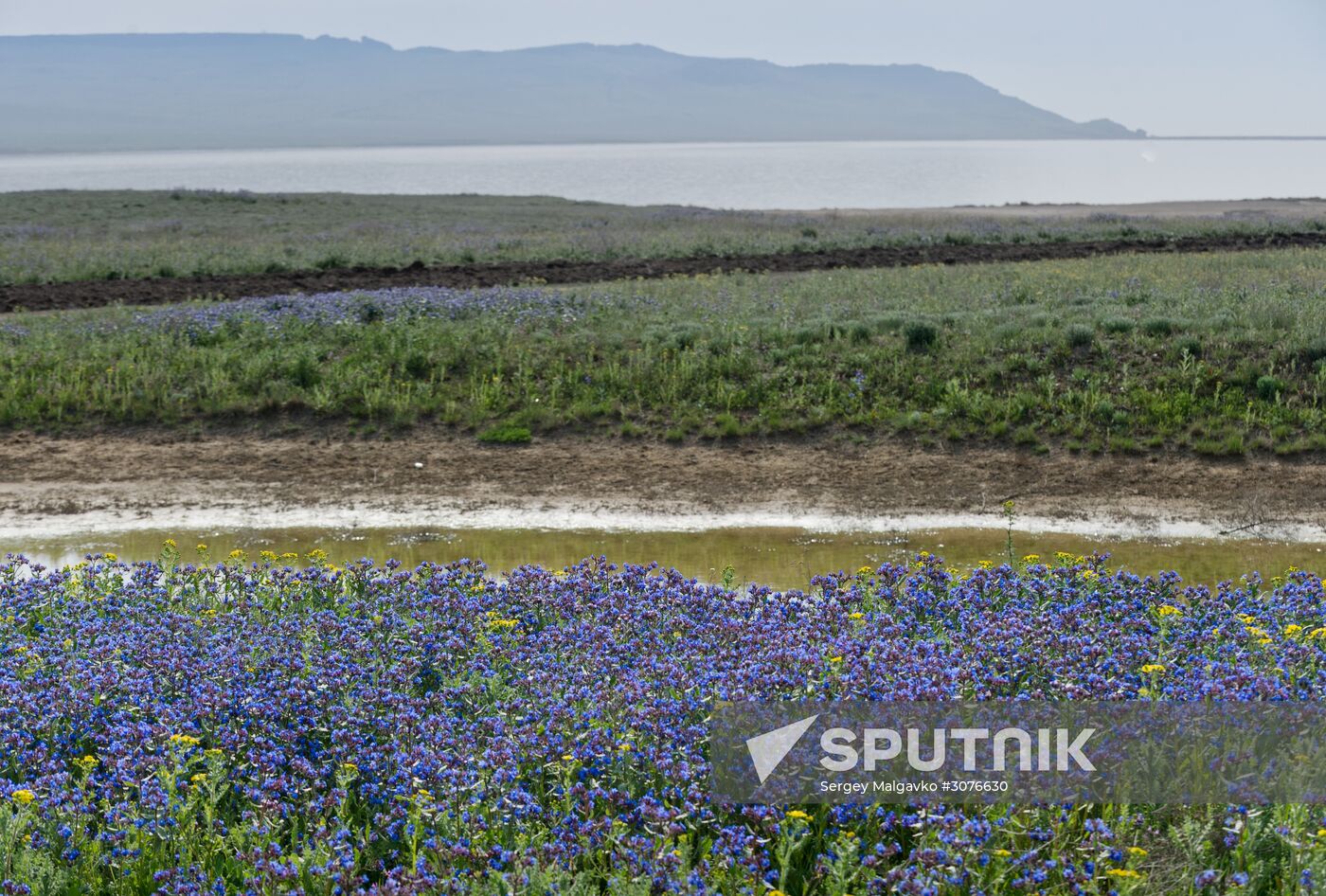 Opuksky Nature Reserve in Crimea