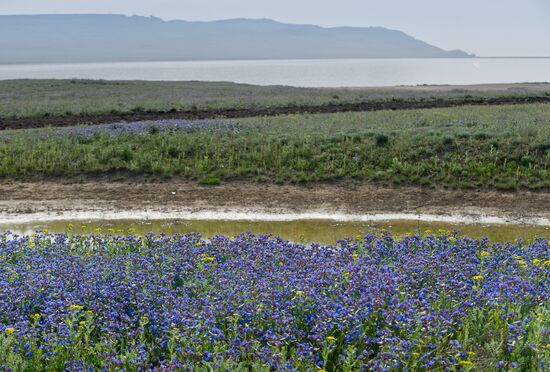 Opuksky Nature Reserve in Crimea