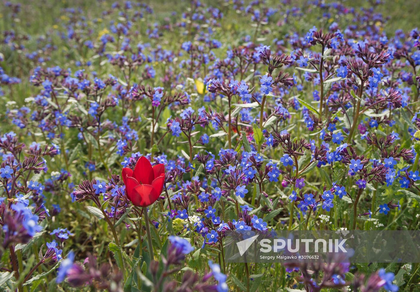 Opuksky Nature Reserve in Crimea