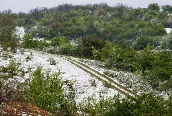 Snow in Crimea
