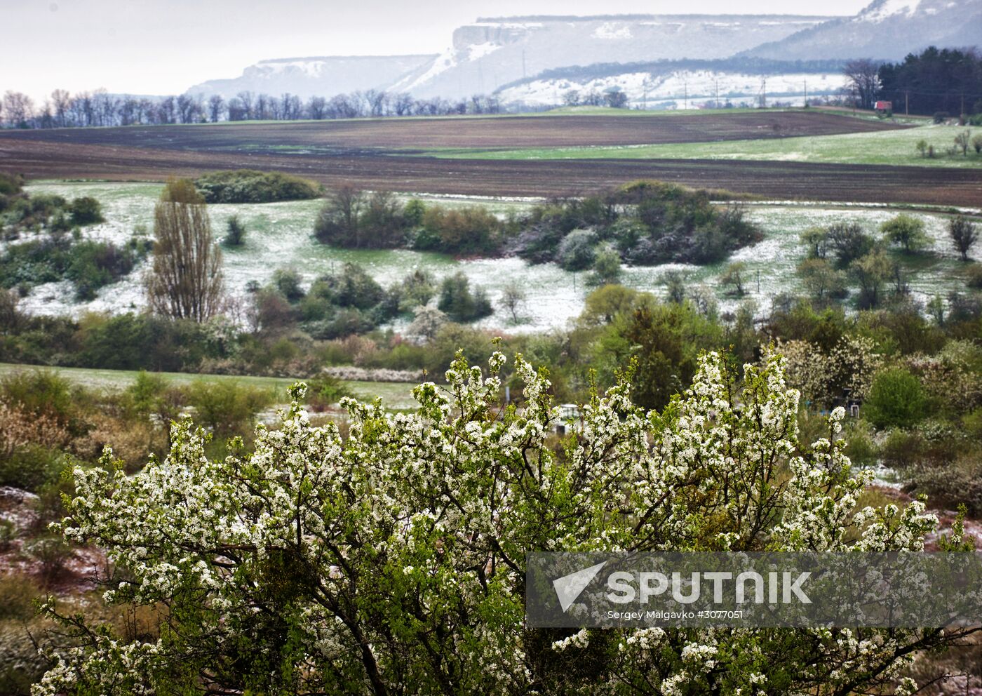 Snow in Crimea