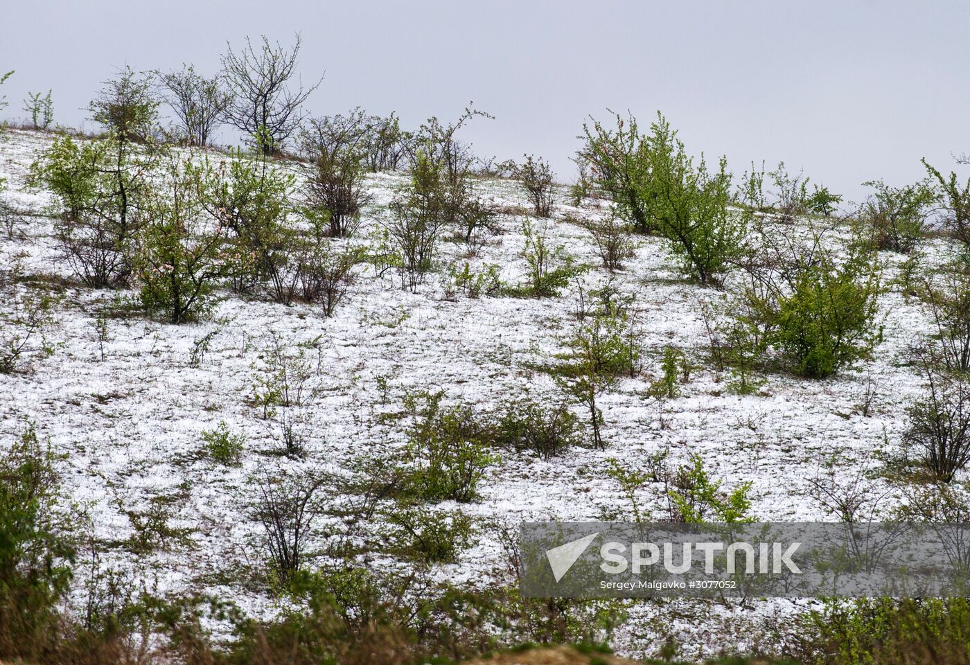 Snow in Crimea