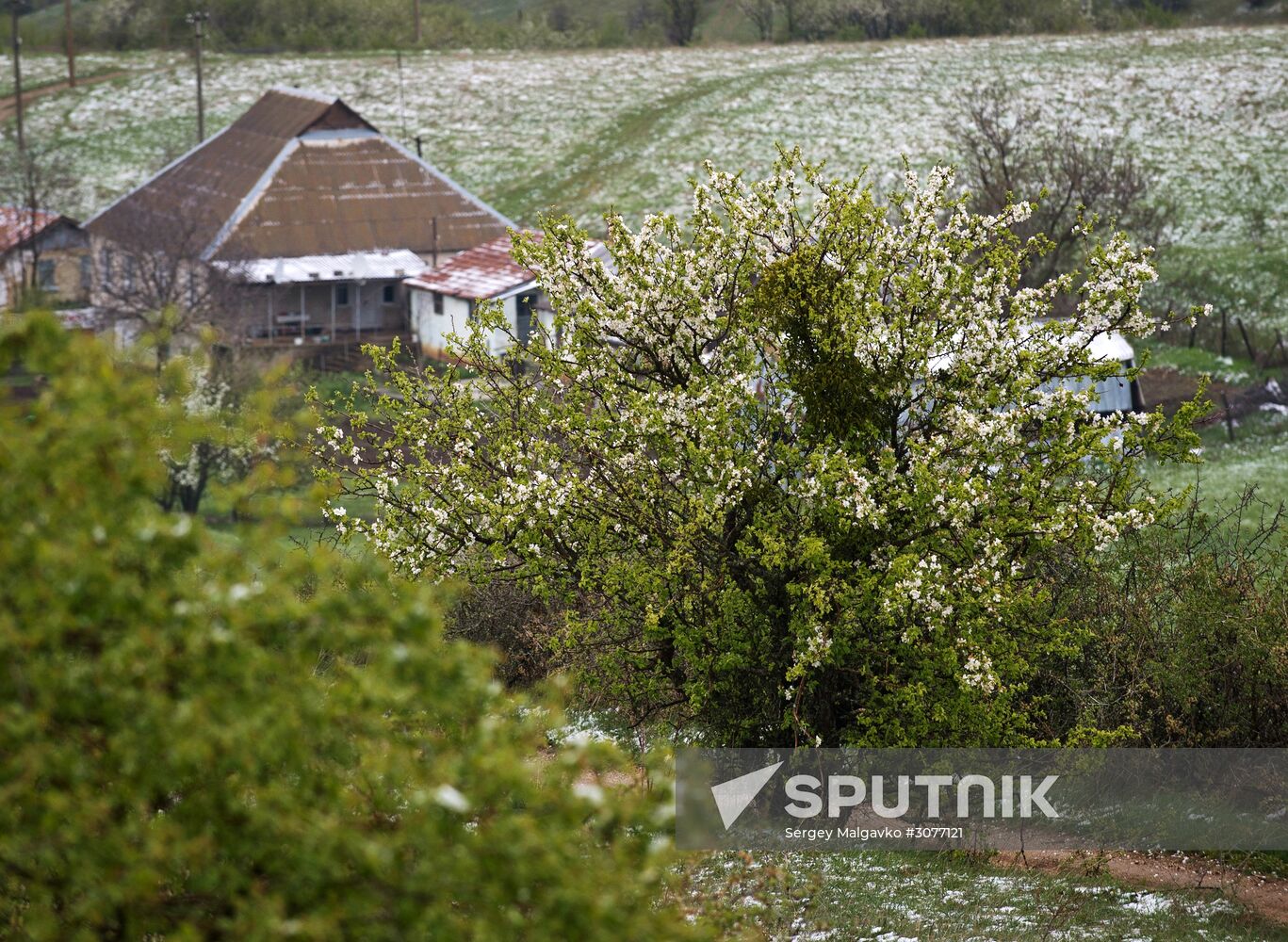 Snow in Crimea
